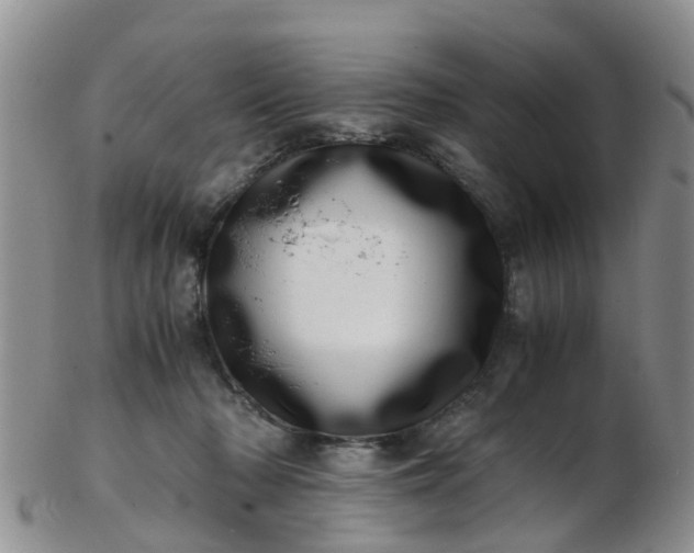 X0000103270318200809122142
