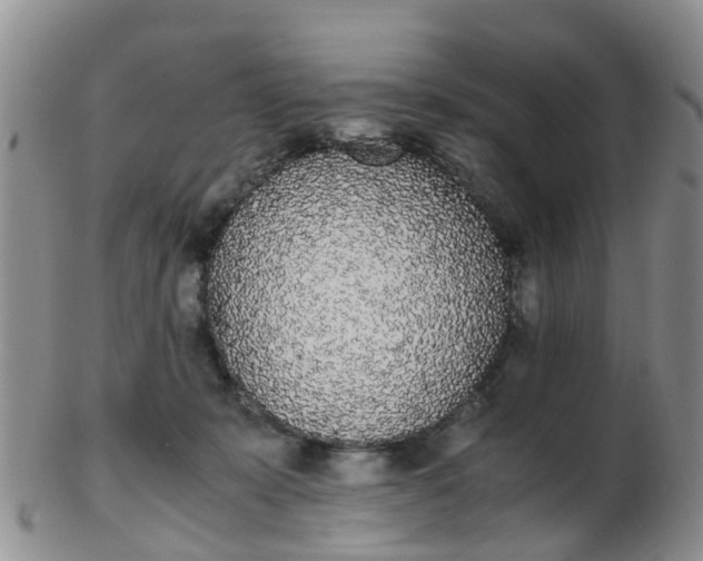 X0000103270319200809122142