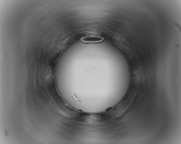 X0000103270320200809122142