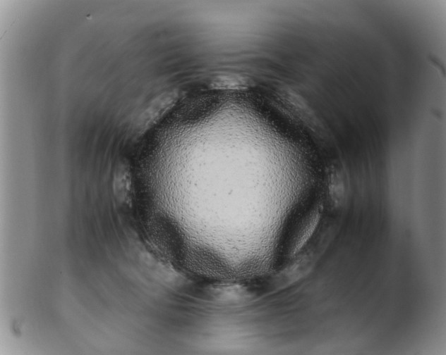 X0000103270322200809122141