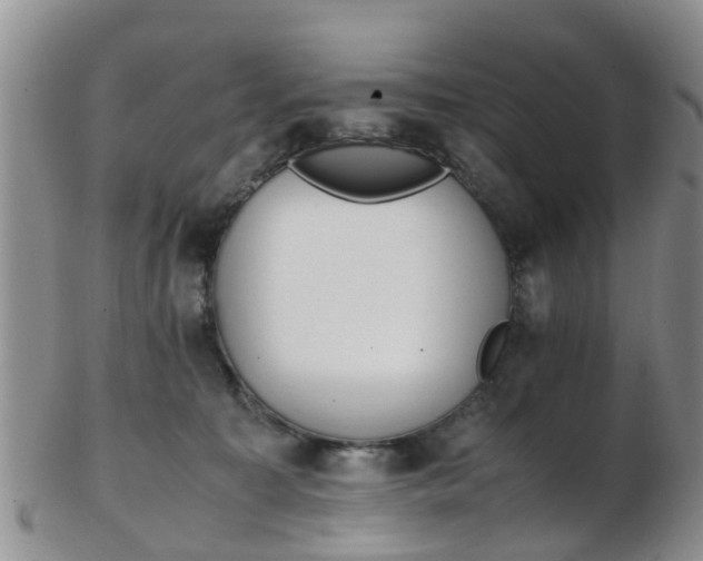 X0000103270323200809122141