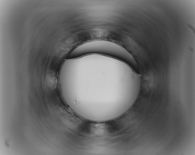 X0000103270324200809122141