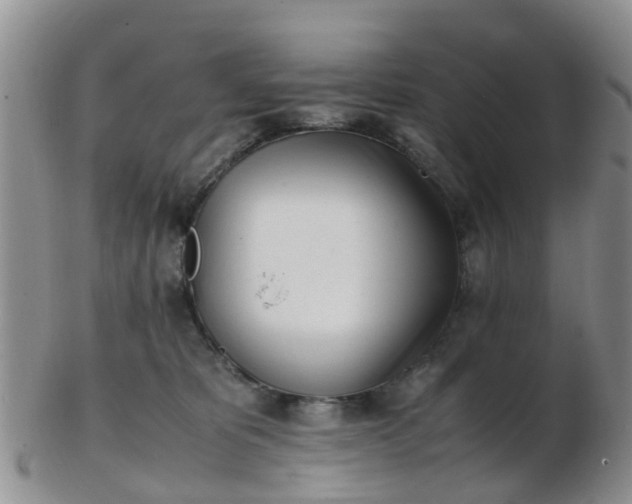 X0000103270325200809122141
