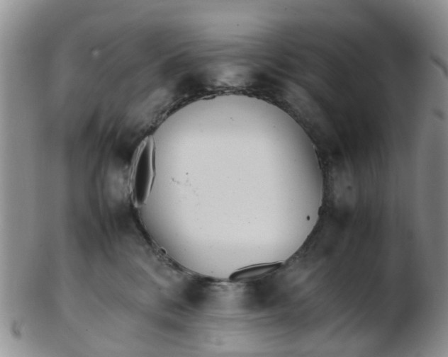 X0000103270328200809122141