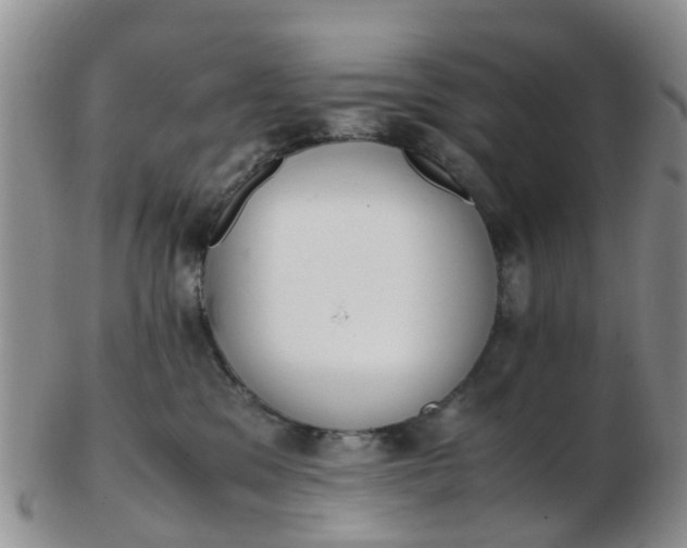 X0000103270329200809122141