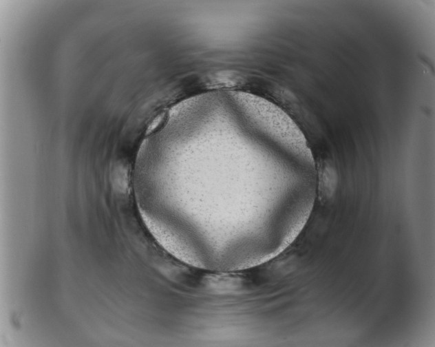 X0000103270331200809122141