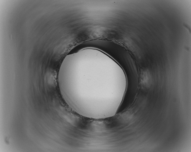 X0000103270332200809122141