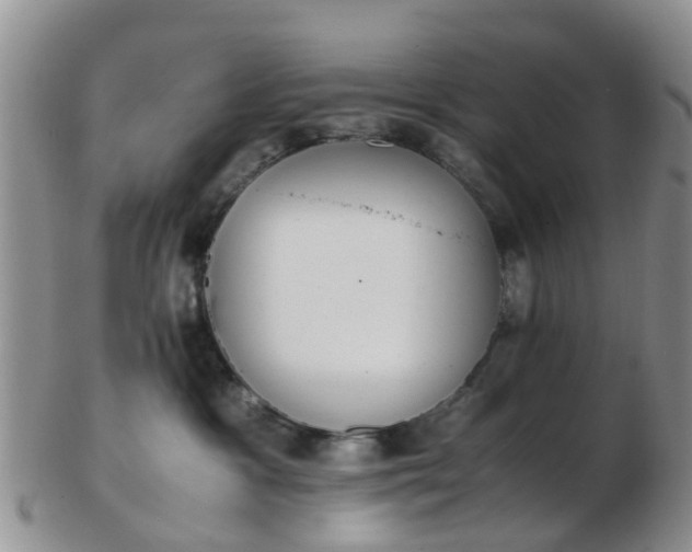 X0000103270333200809122141