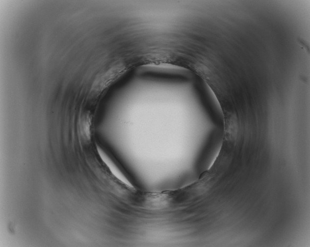 X0000103270334200809122141