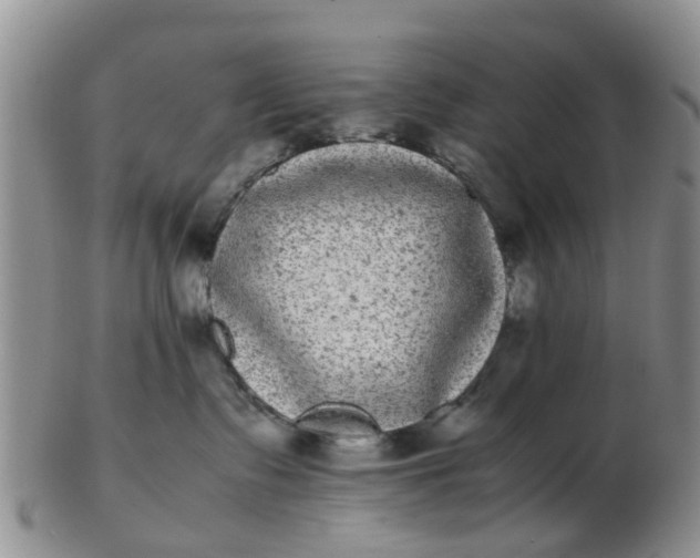 X0000103270335200809122141
