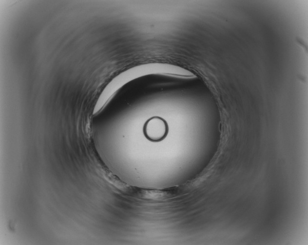 X0000103270336200809122141