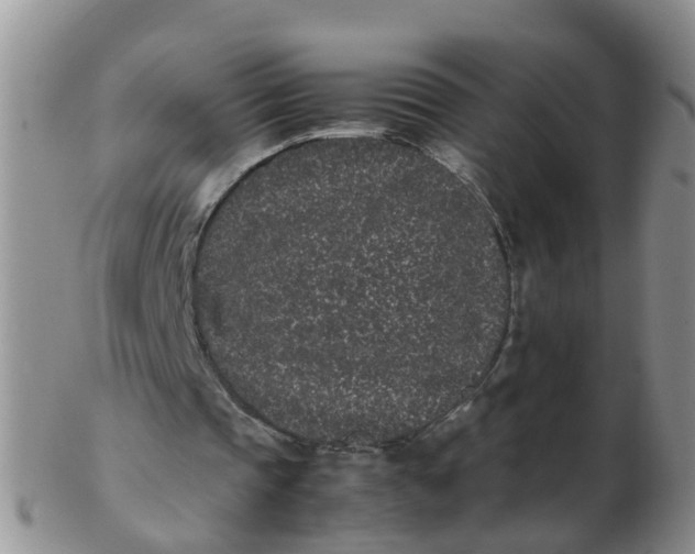 X0000103270337200809122140