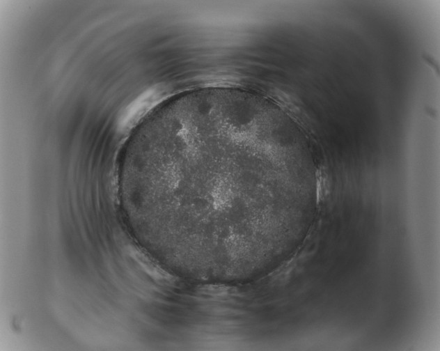 X0000103270339200809122140