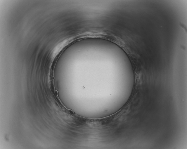 X0000103270340200809122141