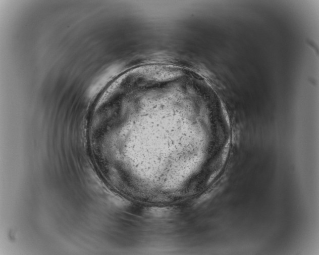 X0000103270341200809122141