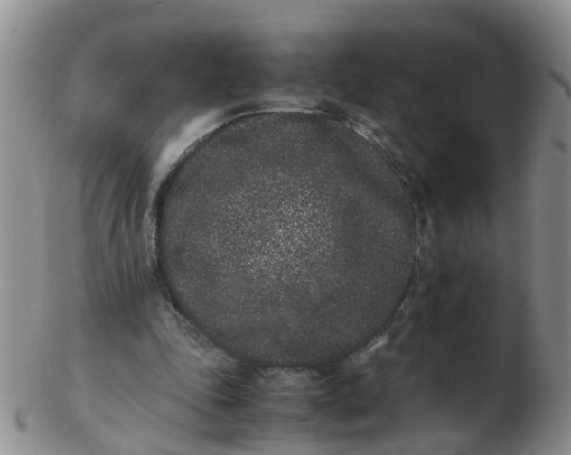 X0000103270343200809122141
