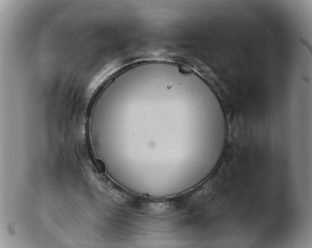X0000103270344200809122141