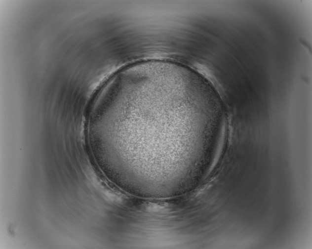 X0000103270346200809122141