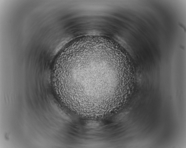 X0000103270347200809122141