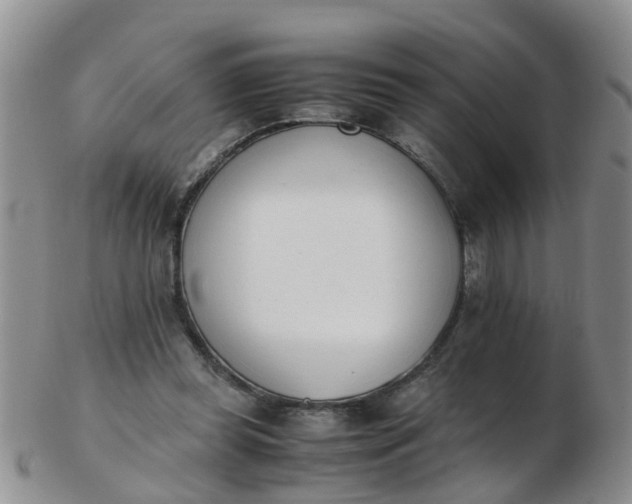 X0000103270349200809122141