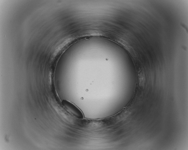 X0000103270350200809122141