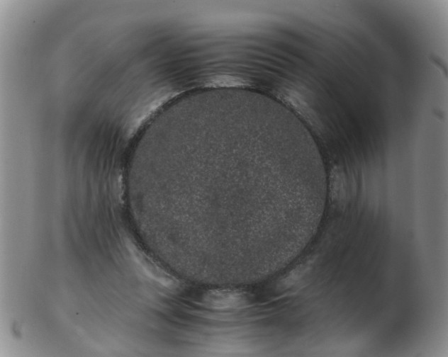 X0000103270351200809122141