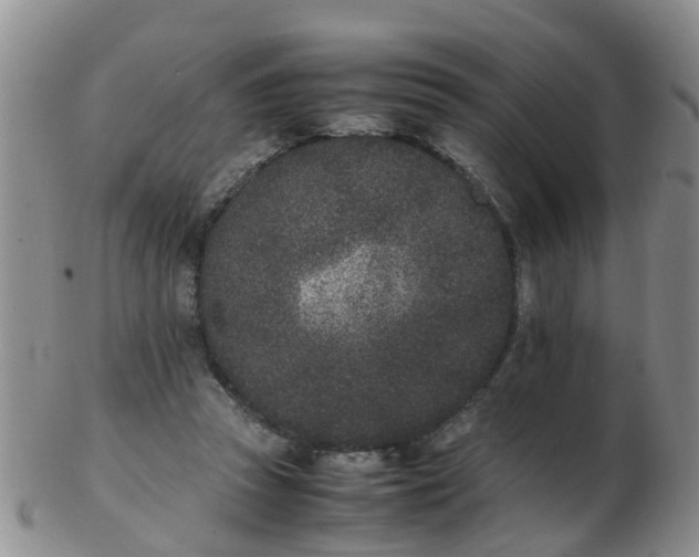 X0000103270353200809122141