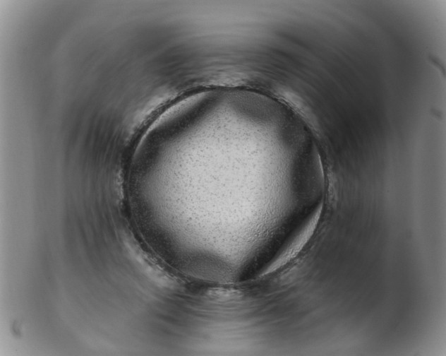 X0000103270354200809122141