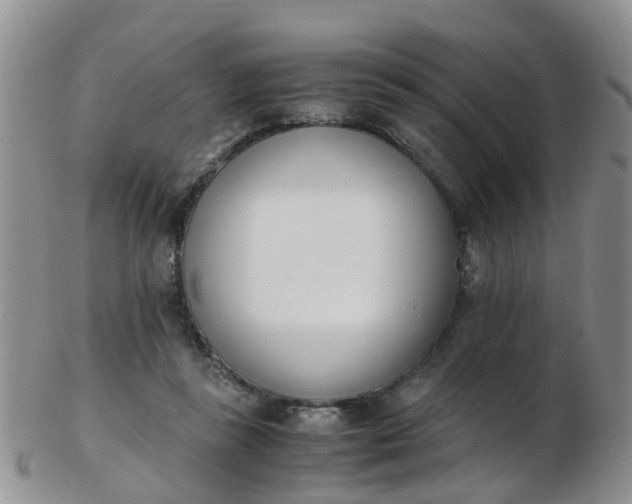 X0000103270355200809122141