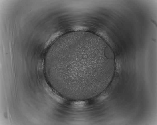 X0000103270357200809122141