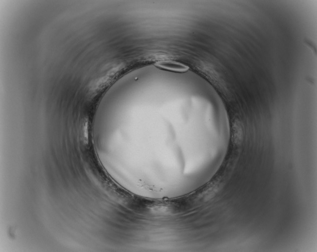 X0000103270358200809122141