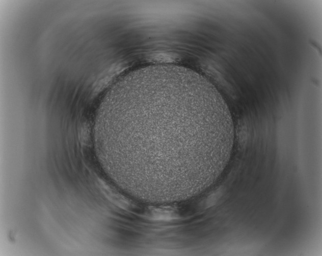 X0000103270359200809122141