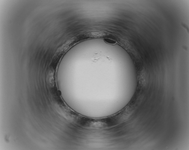 X0000103270360200809122141