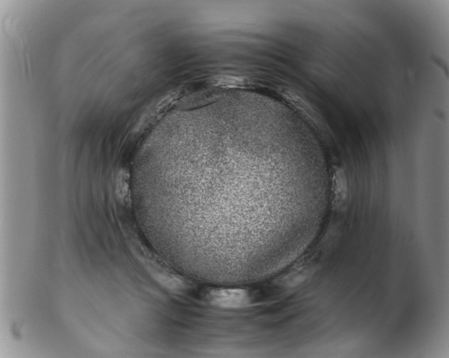 X0000103270361200809122141