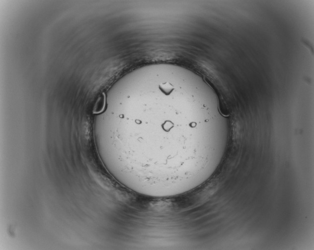 X0000103270362200809122141