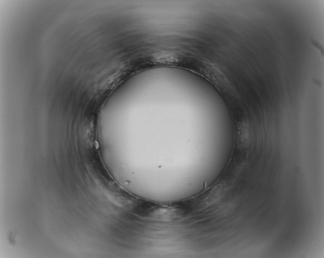 X0000103270364200809122141