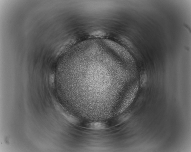 X0000103270365200809122141