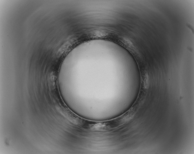 X0000103270366200809122141