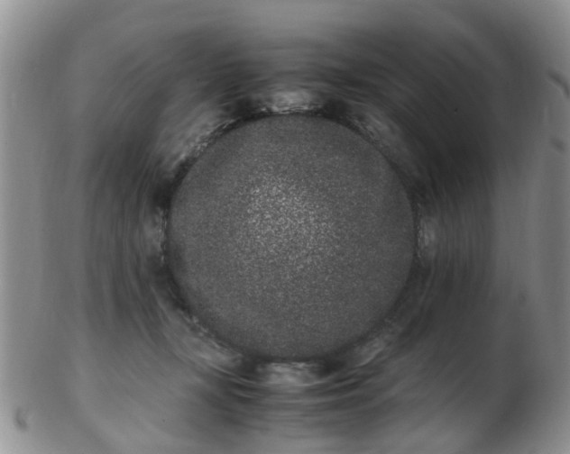 X0000103270367200809122141