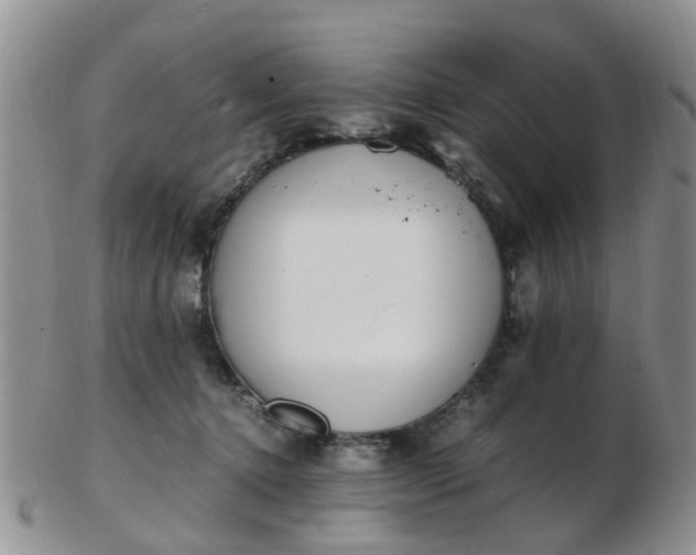 X0000103270368200809122141