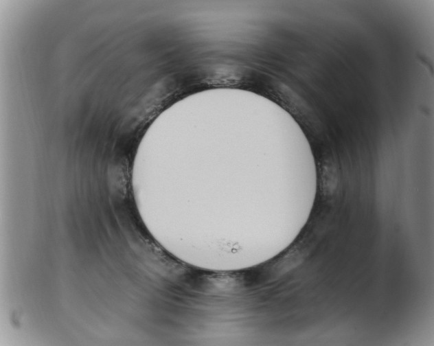X0000103270370200809122141