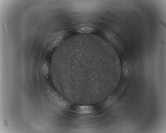 X0000103270371200809122141