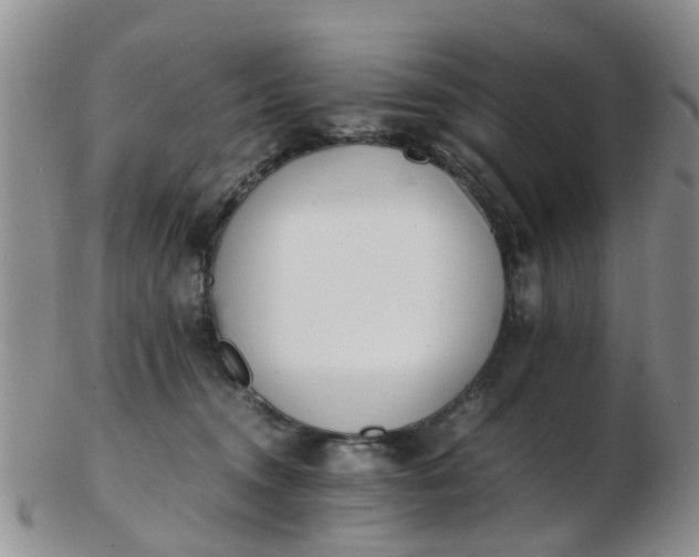X0000103270372200809122141