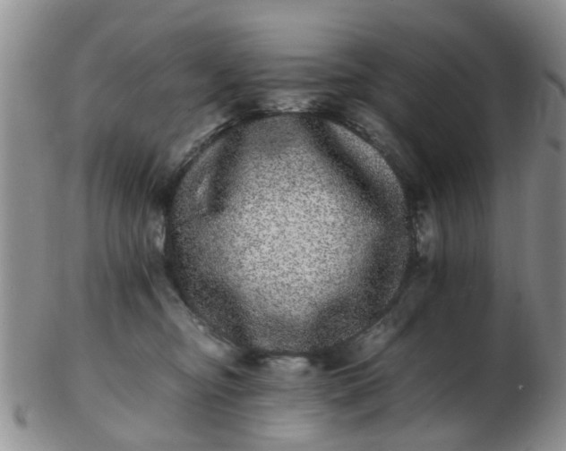 X0000103270374200809122141