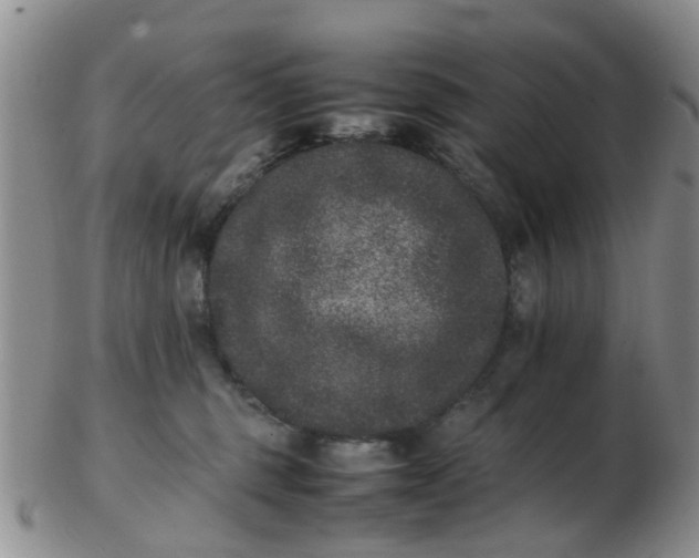 X0000103270375200809122141