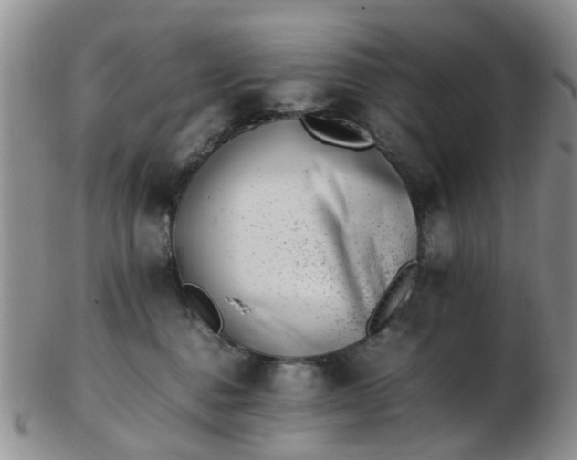 X0000103270376200809122141