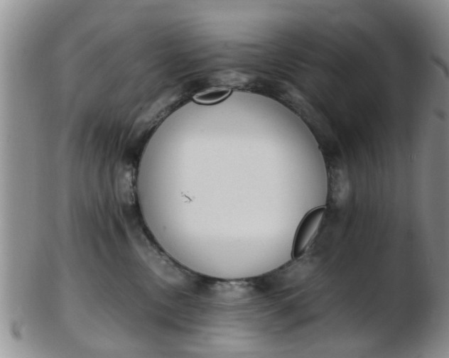 X0000103270378200809122141