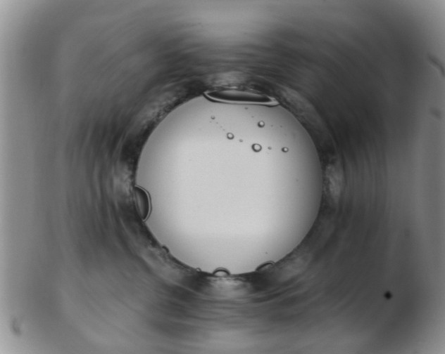 X0000103270380200809122141