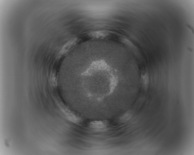X0000103270381200809122141