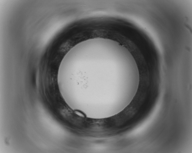 X0000103270382200809122141